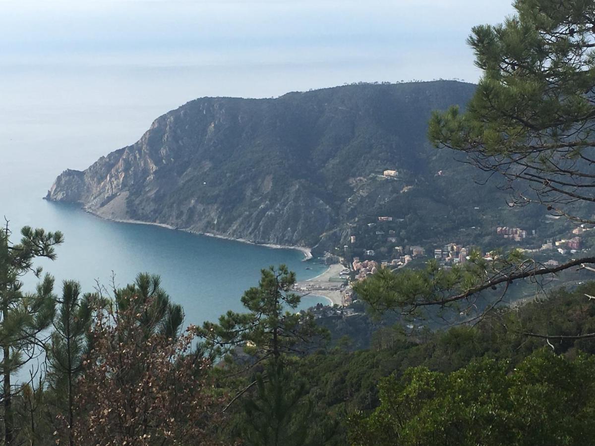 B&B Le Bouganville Lavagna Dış mekan fotoğraf